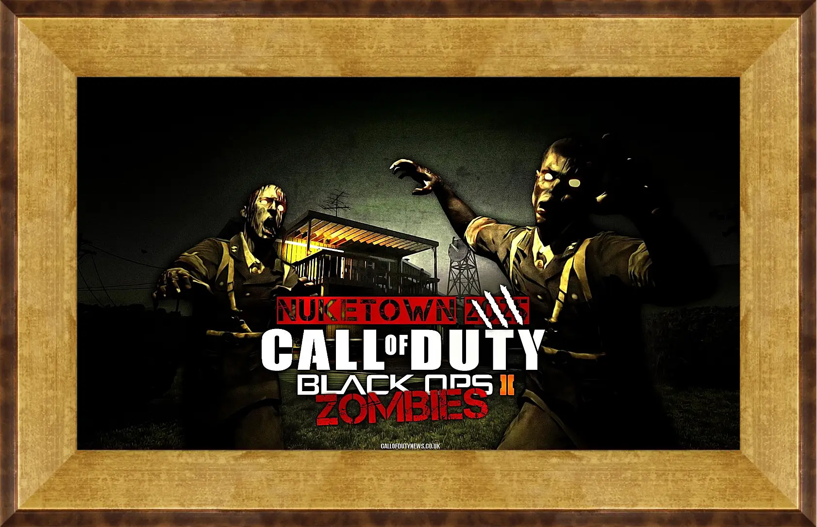 Картина в раме - Call Of Duty: Black Ops II