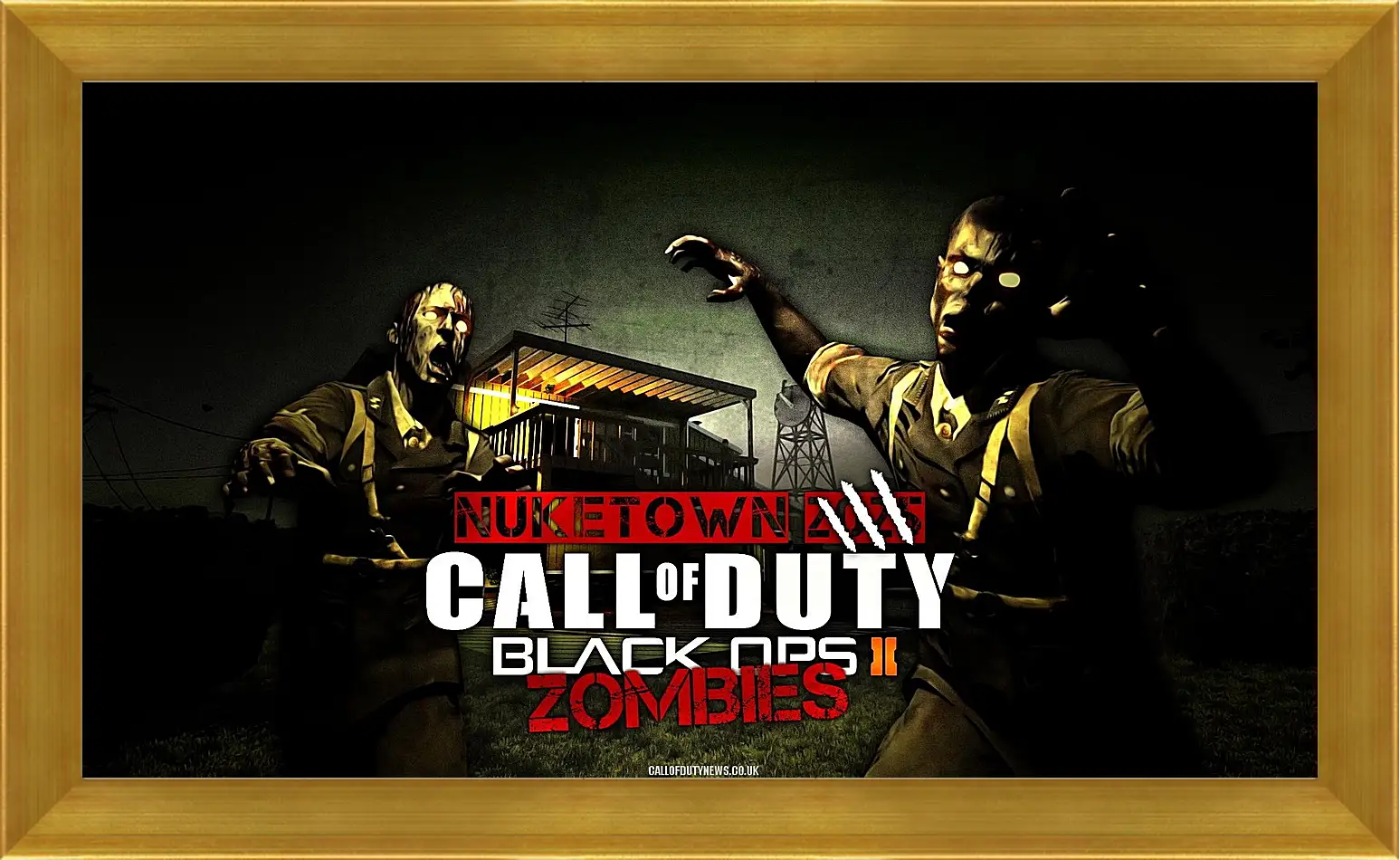 Картина в раме - Call Of Duty: Black Ops II