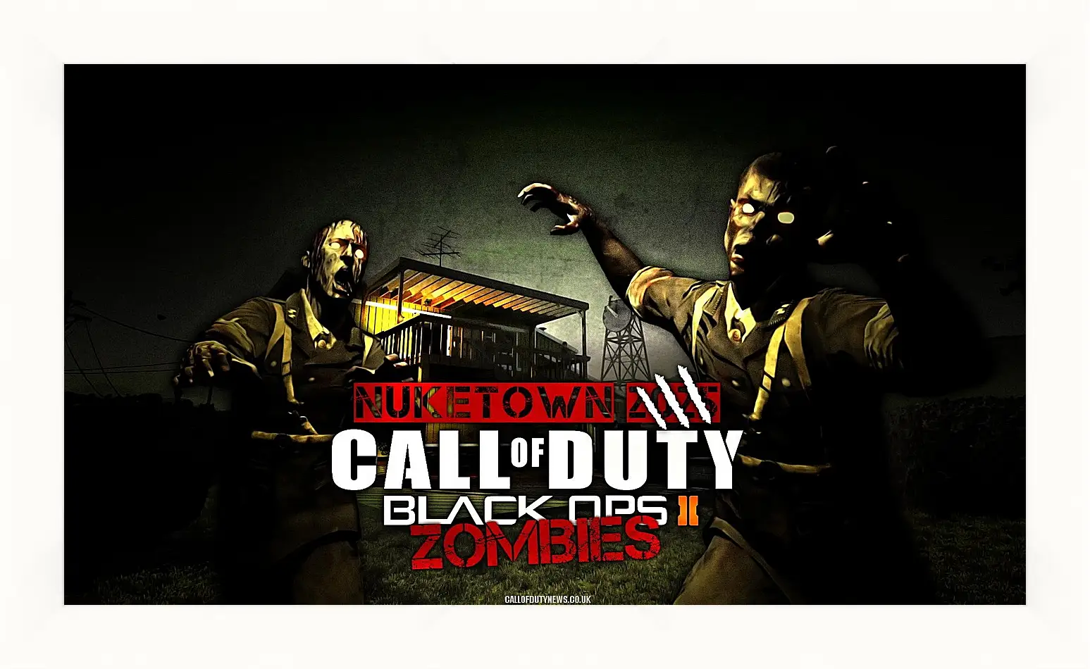 Картина в раме - Call Of Duty: Black Ops II