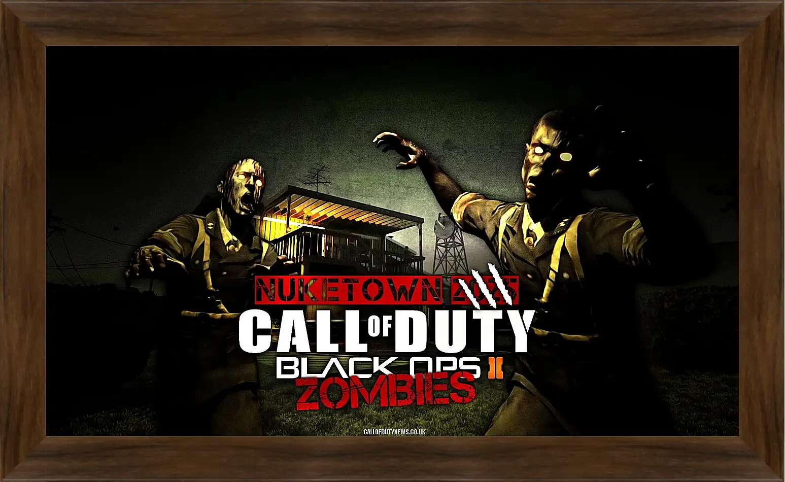 Картина в раме - Call Of Duty: Black Ops II