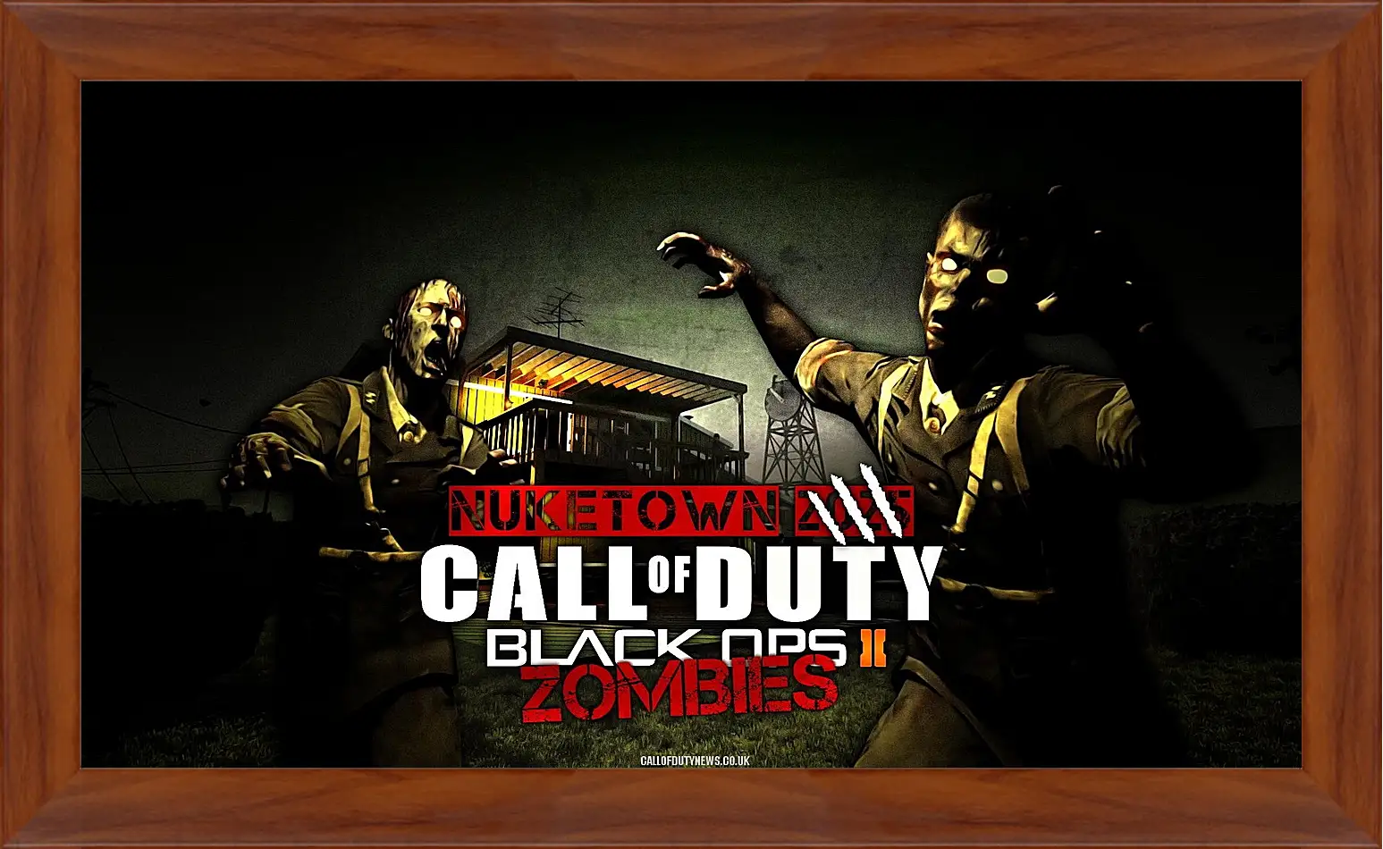 Картина в раме - Call Of Duty: Black Ops II