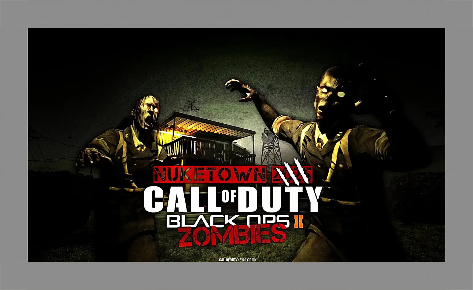 Картина в раме - Call Of Duty: Black Ops II