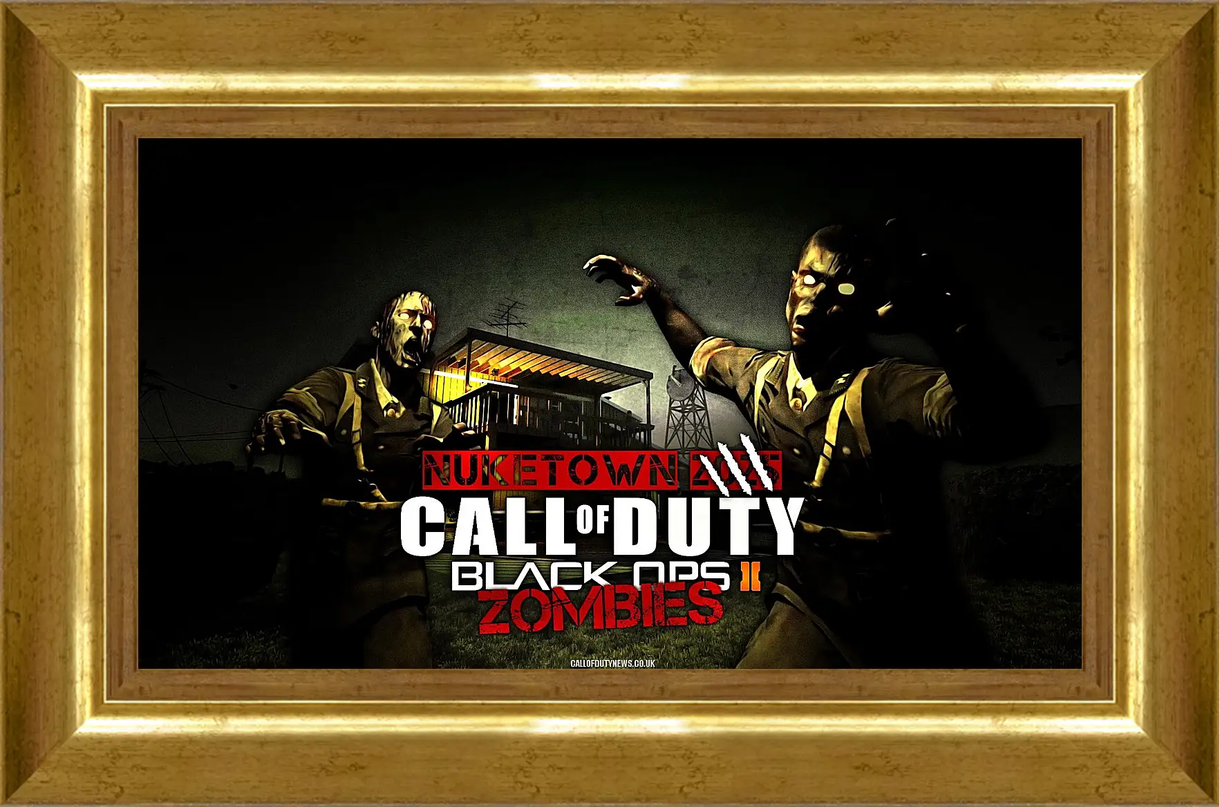 Картина в раме - Call Of Duty: Black Ops II