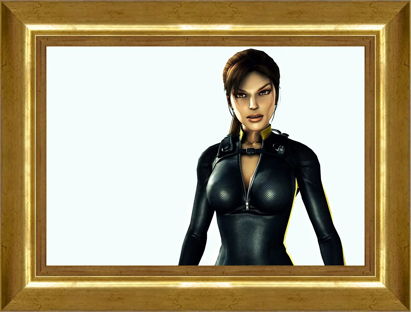 Картина в раме - Tomb Raider