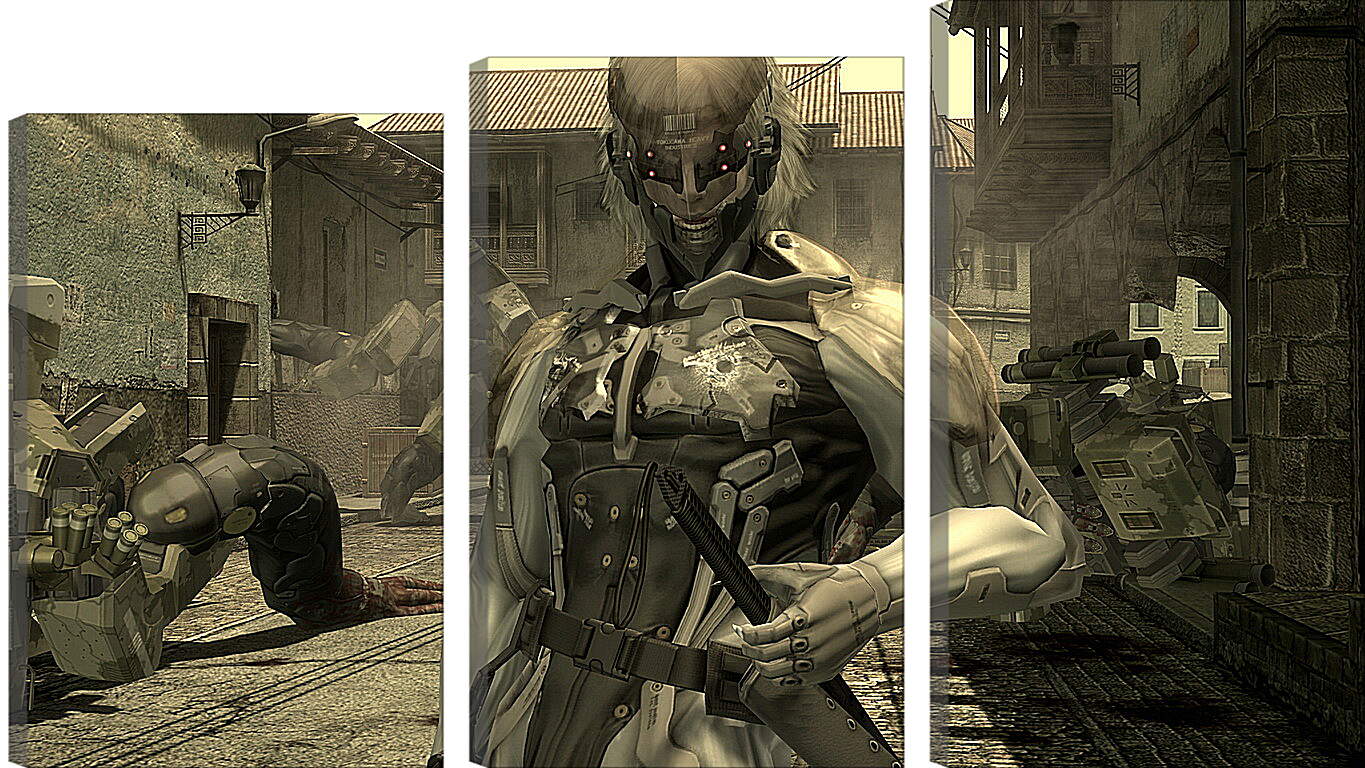 Модульная картина - Metal Gear Rising: Revengeance
