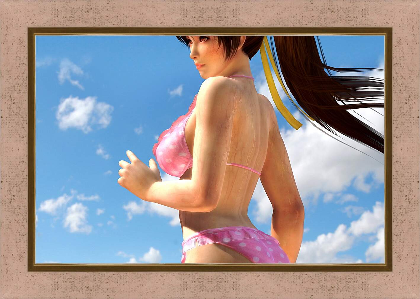 Картина в раме - Dead Or Alive 5
