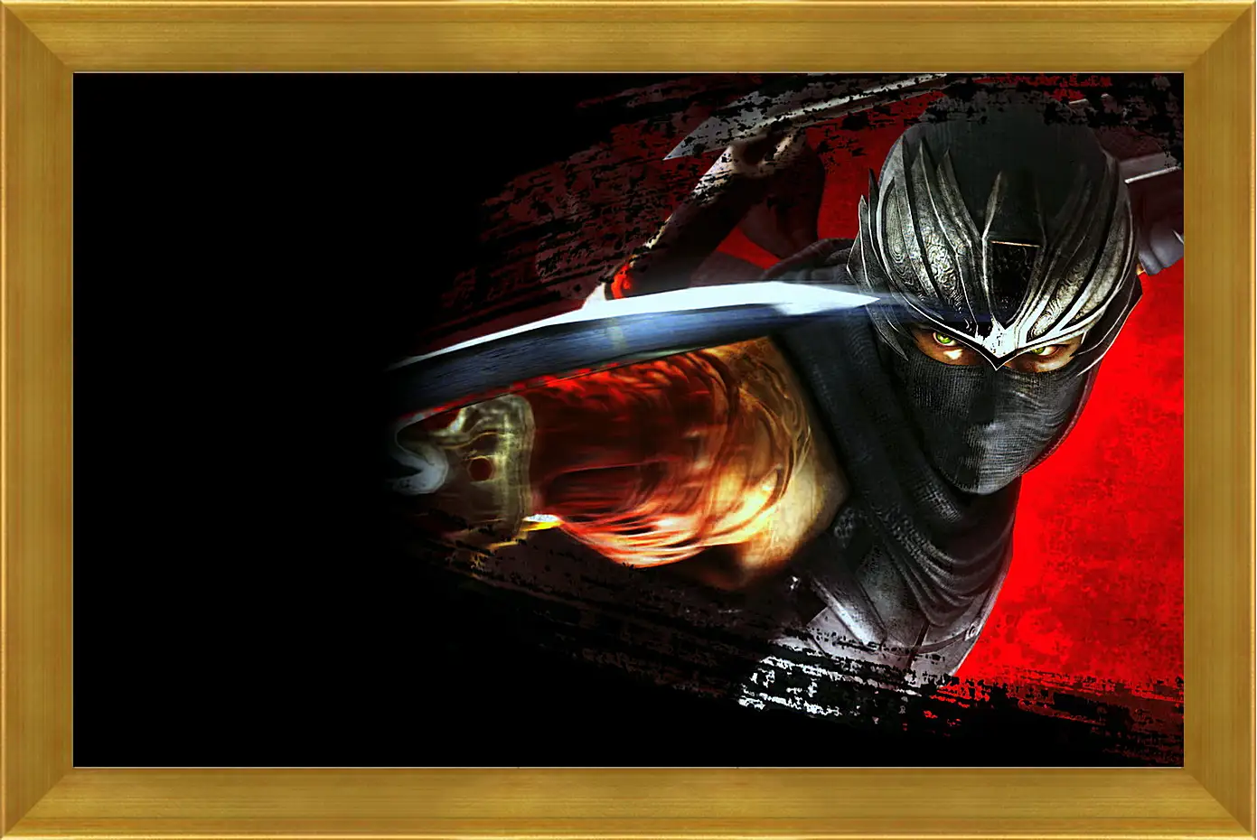 Картина в раме - Ninja Gaiden
