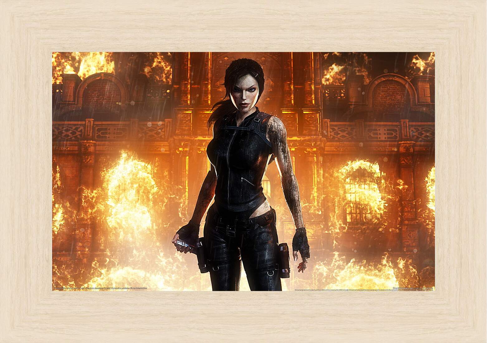 Картина в раме - Tomb Raider