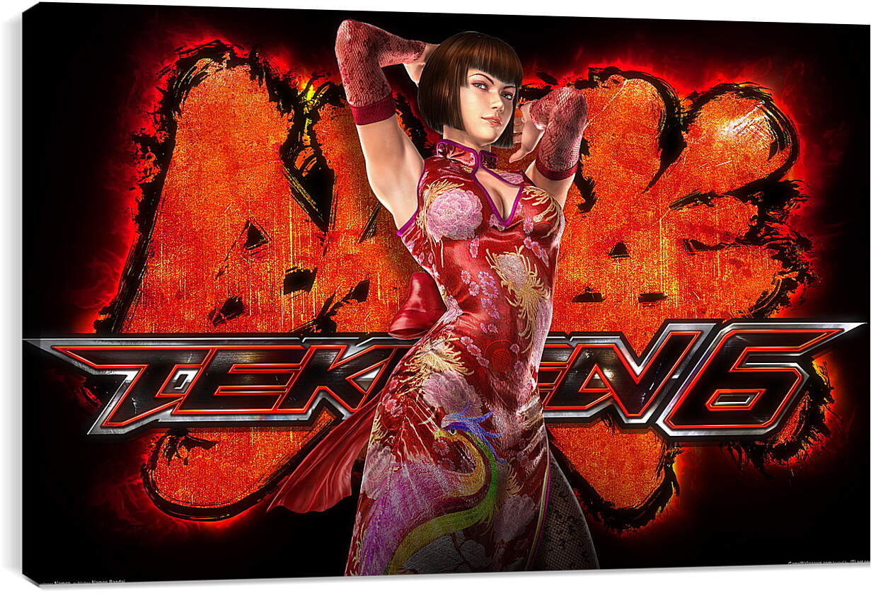 Постер и плакат - Tekken 6
