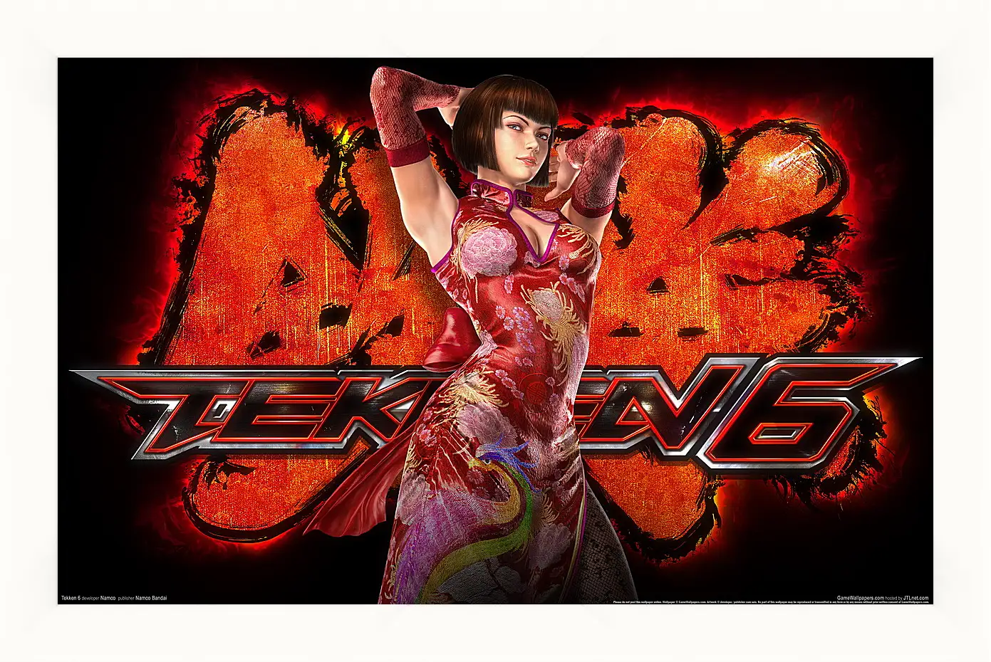 Картина в раме - Tekken 6
