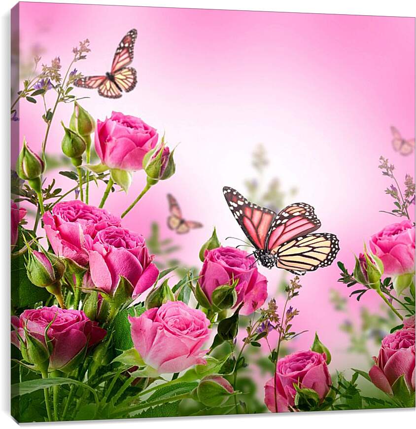 Постер и плакат - Бабочки и розы