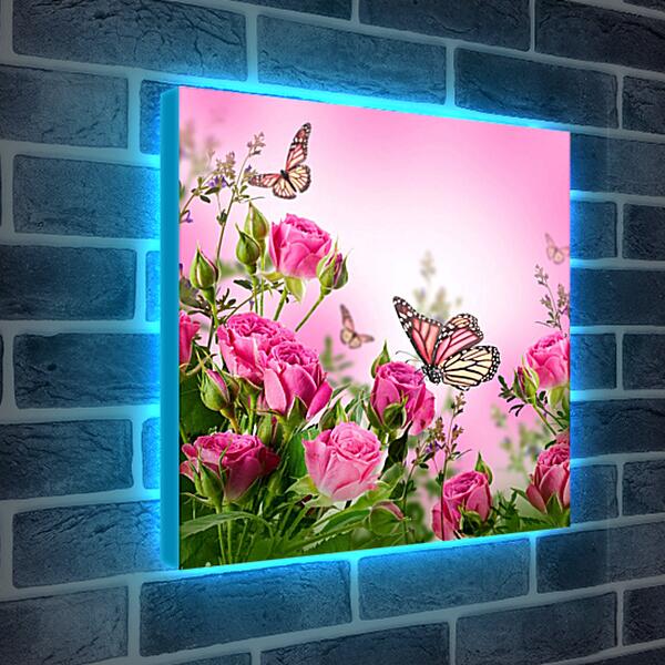 Лайтбокс световая панель - Бабочки и розы