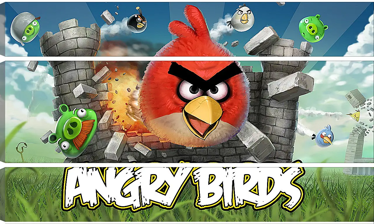 Модульная картина - Angry Birds
