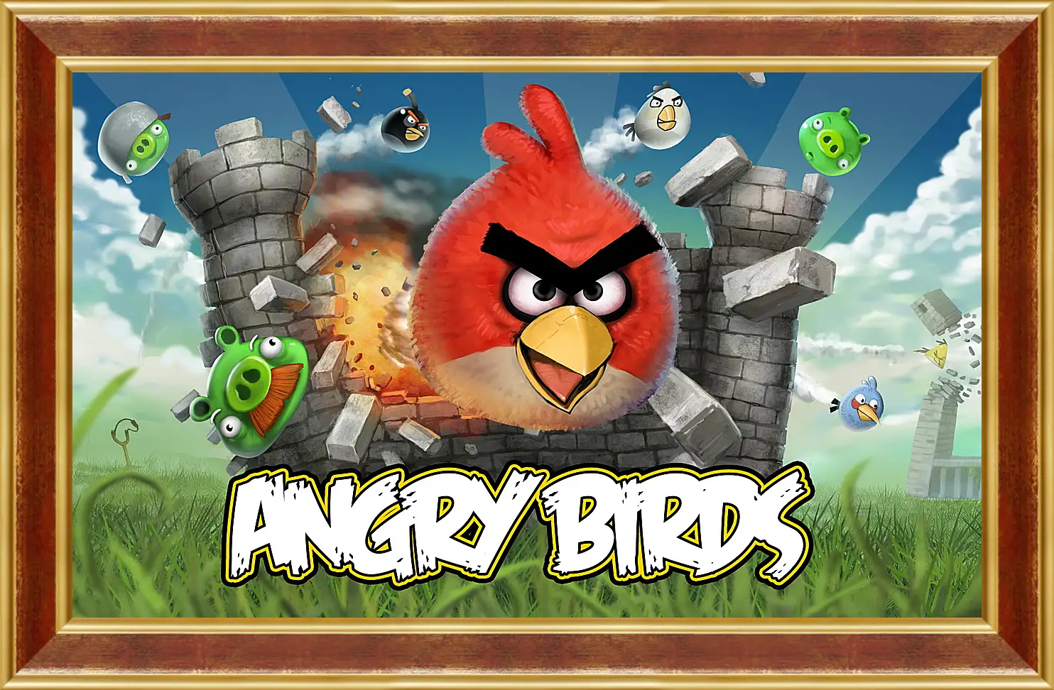 Картина в раме - Angry Birds
