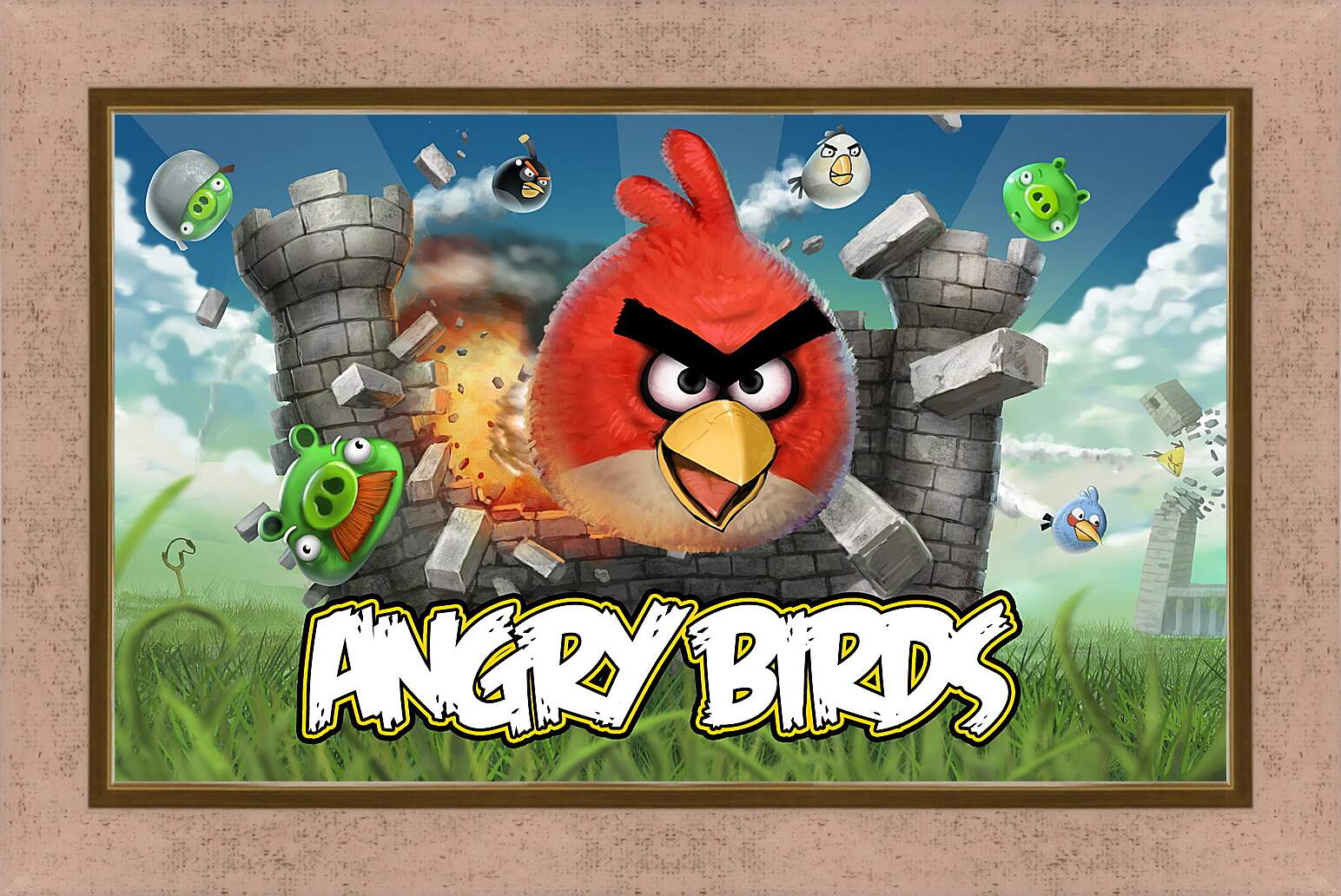 Картина в раме - Angry Birds
