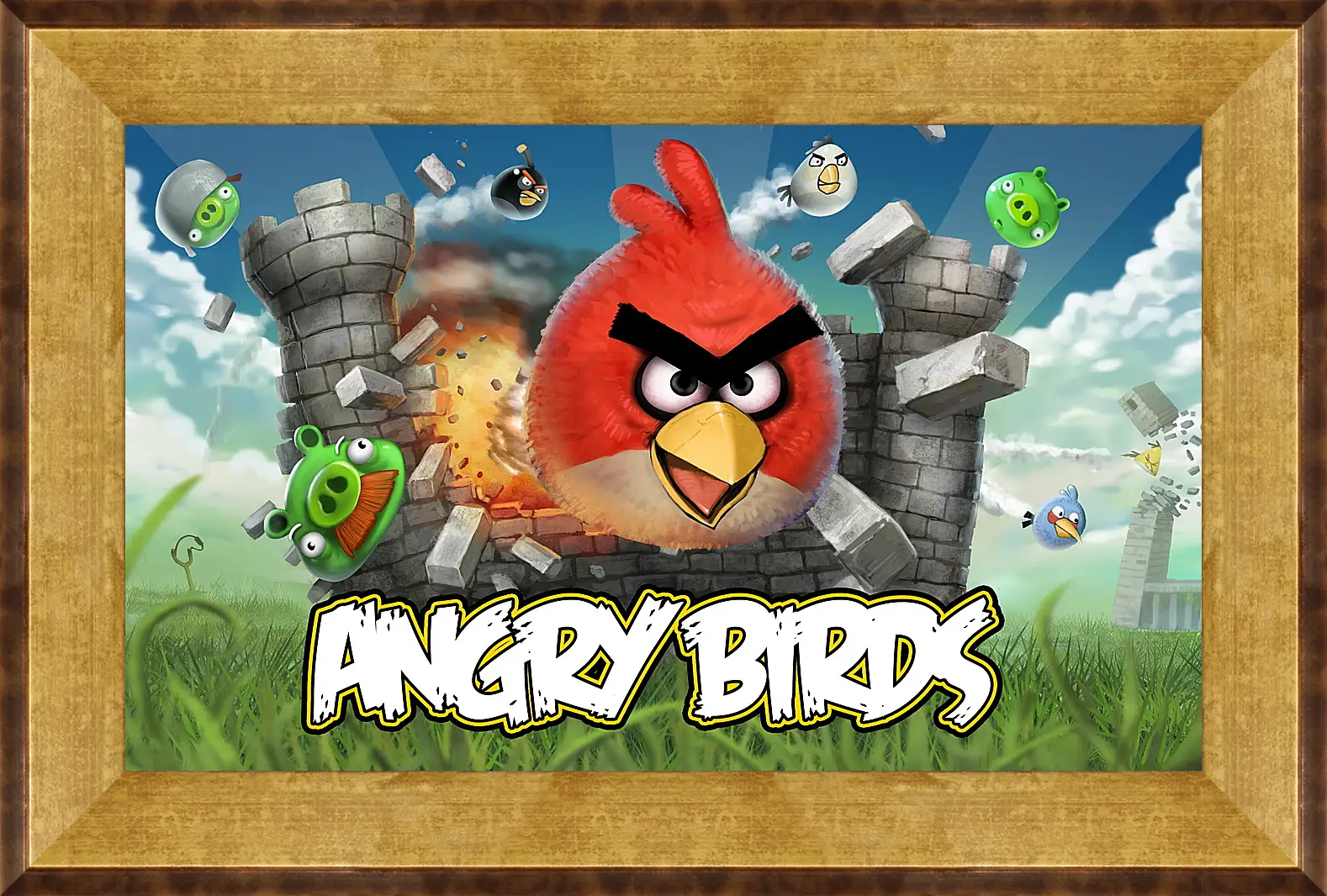 Картина в раме - Angry Birds
