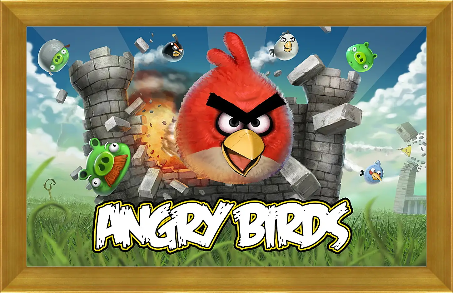 Картина в раме - Angry Birds
