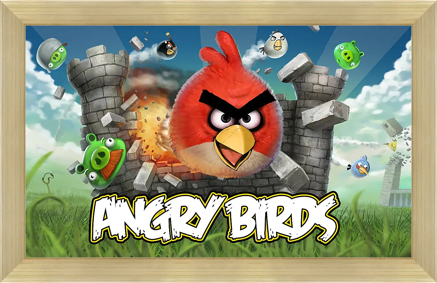 Картина в раме - Angry Birds
