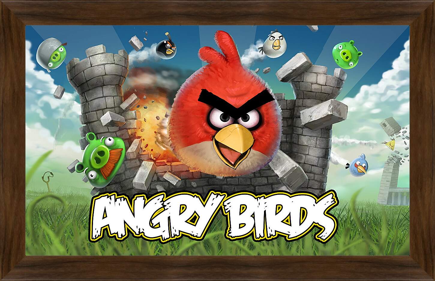 Картина в раме - Angry Birds
