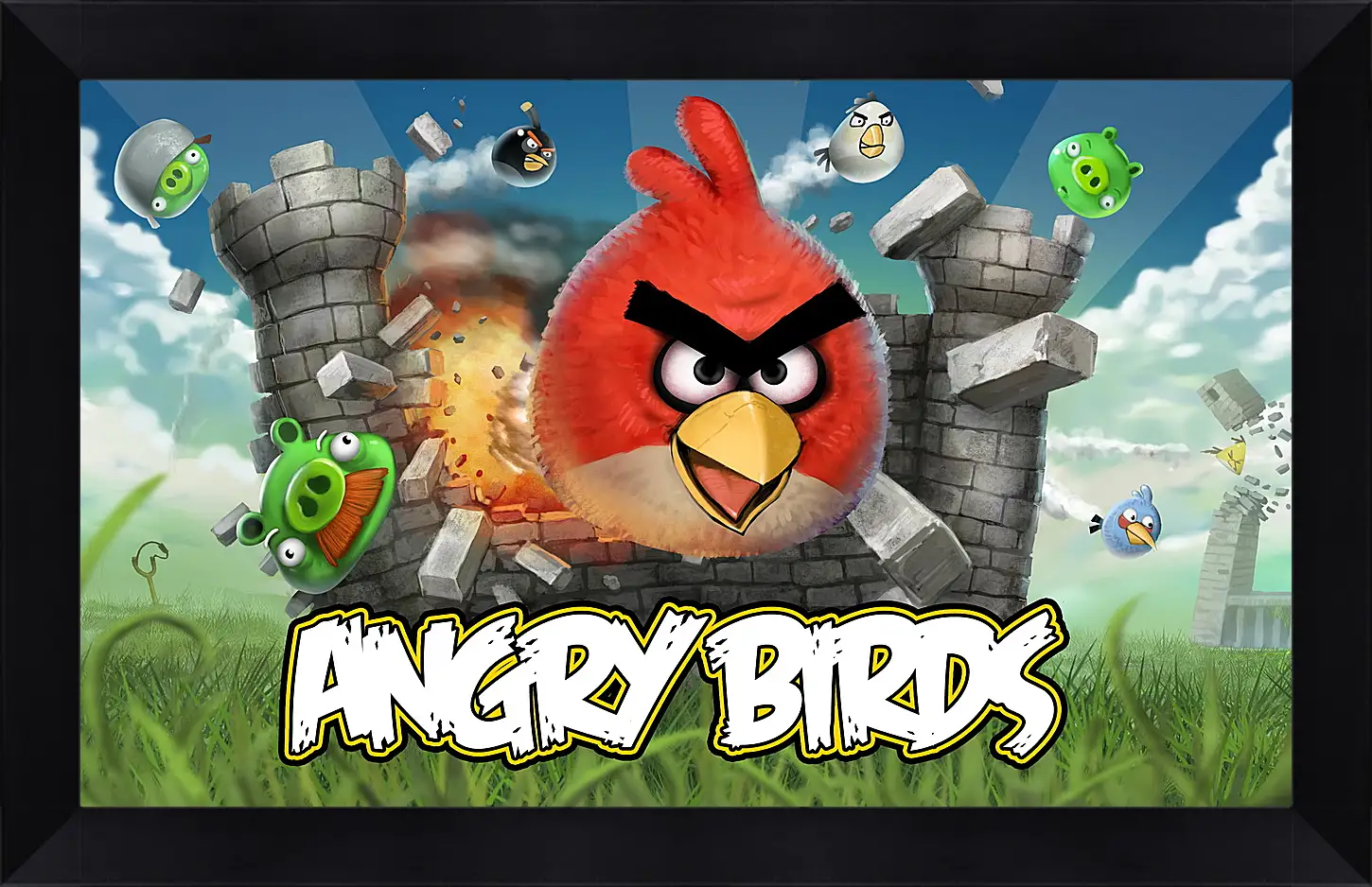 Картина в раме - Angry Birds
