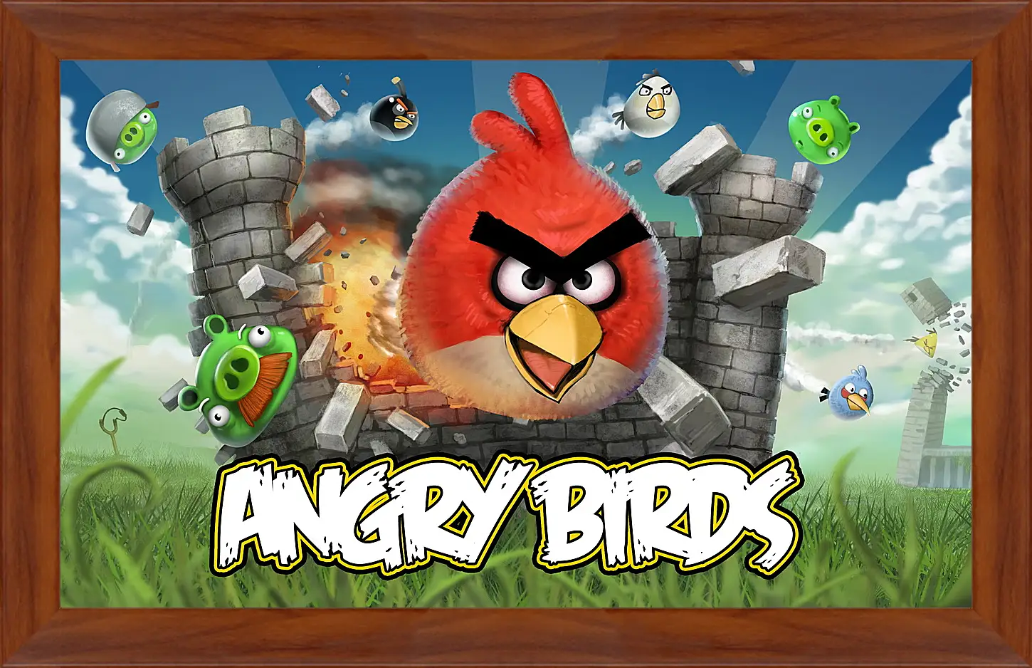 Картина в раме - Angry Birds
