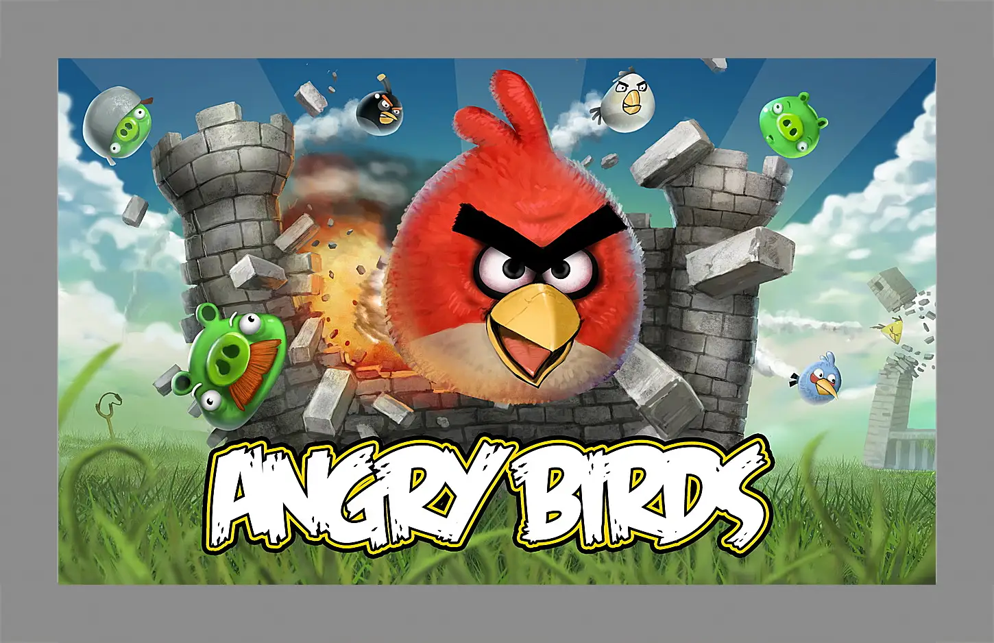 Картина в раме - Angry Birds
