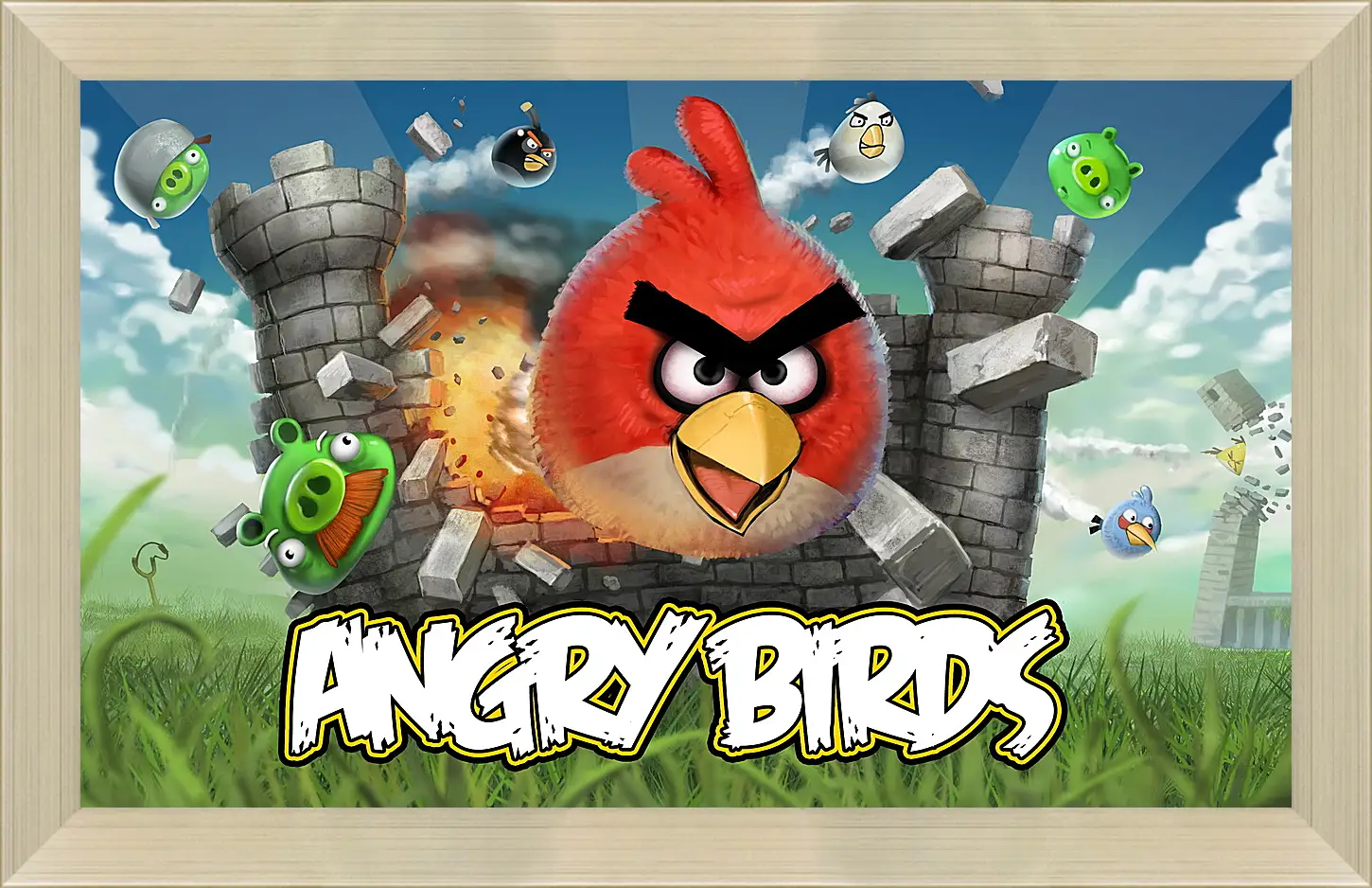 Картина в раме - Angry Birds
