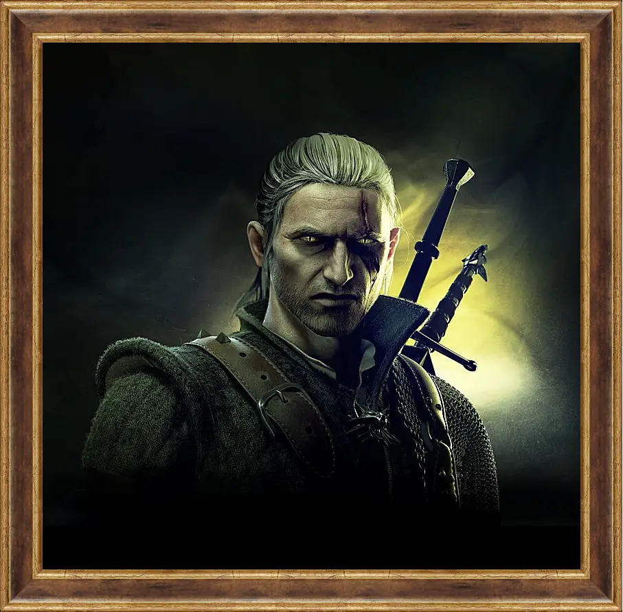 Картина в раме - The Witcher 2: Assassins Of Kings