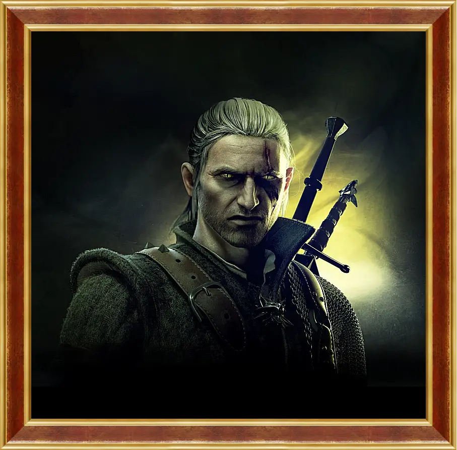 Картина в раме - The Witcher 2: Assassins Of Kings