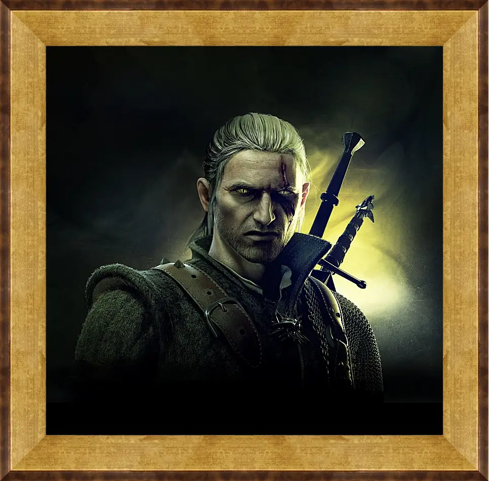 Картина в раме - The Witcher 2: Assassins Of Kings