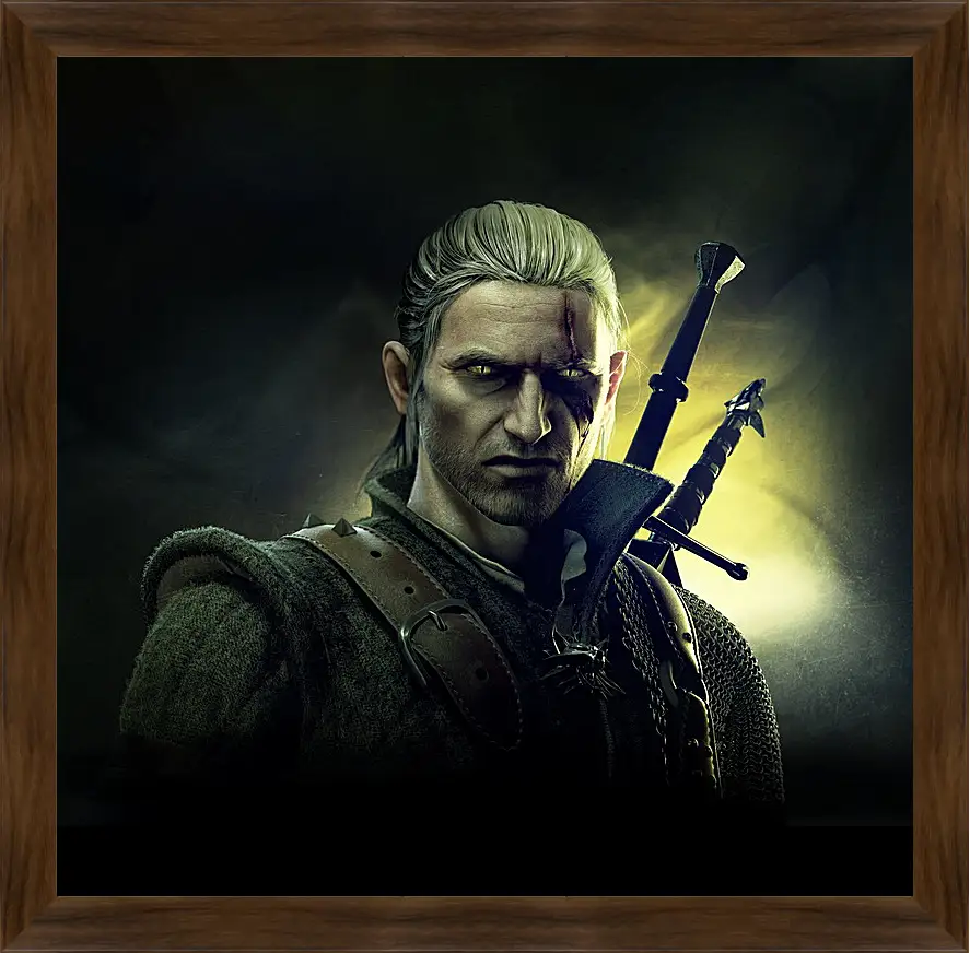 Картина в раме - The Witcher 2: Assassins Of Kings