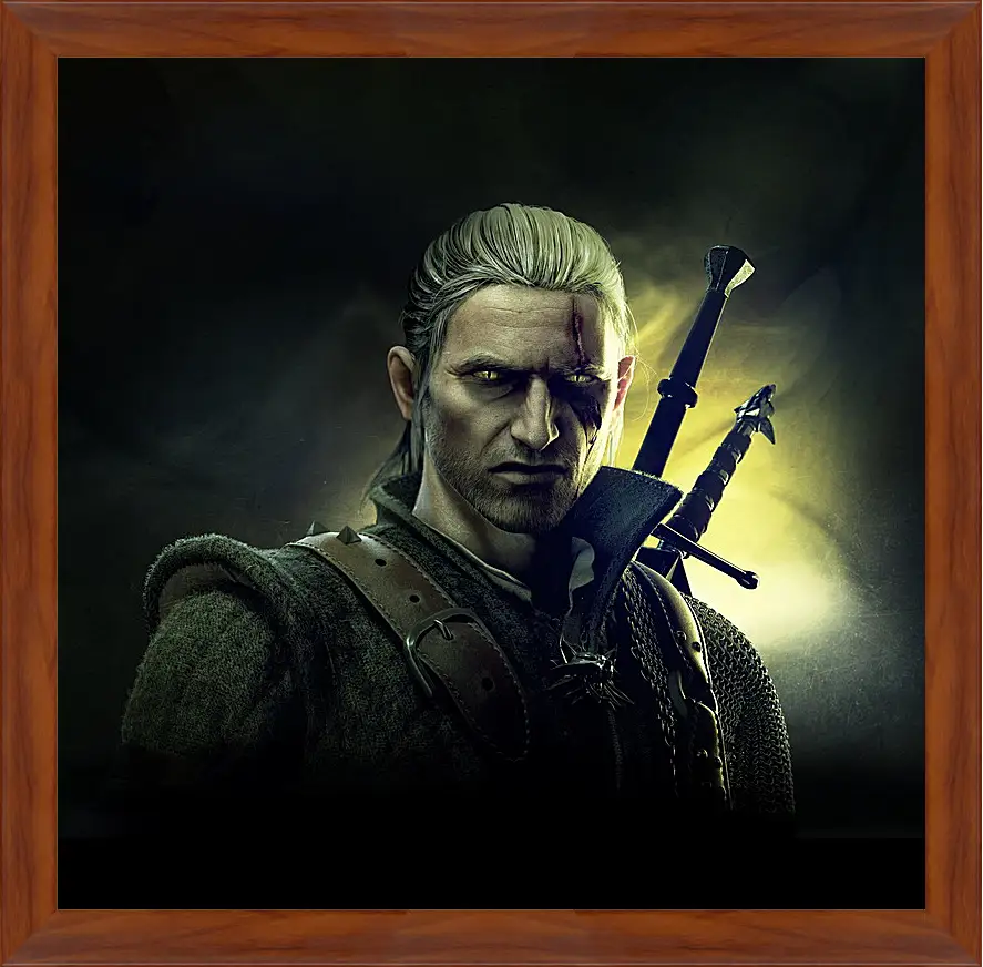 Картина в раме - The Witcher 2: Assassins Of Kings