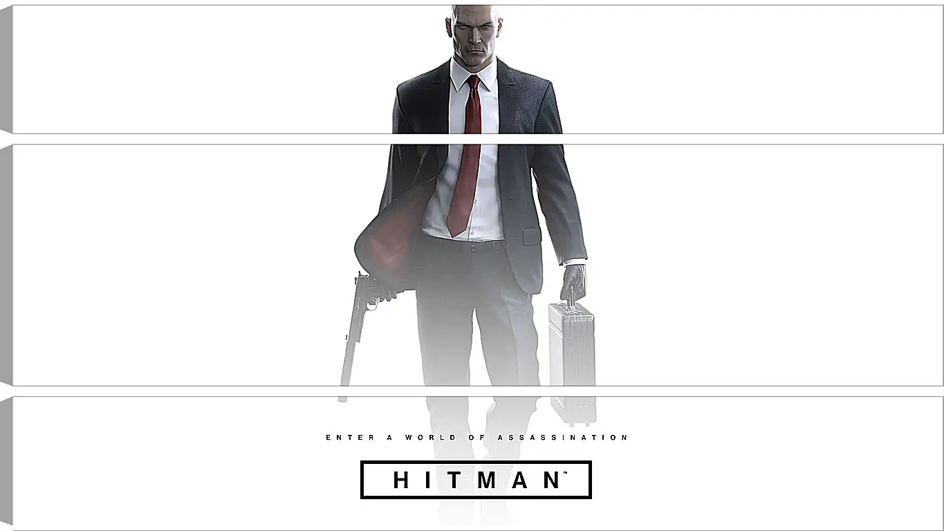 Модульная картина - Hitman (2016)
