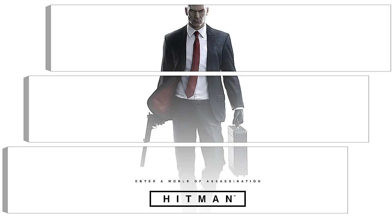 Модульная картина - Hitman (2016)
