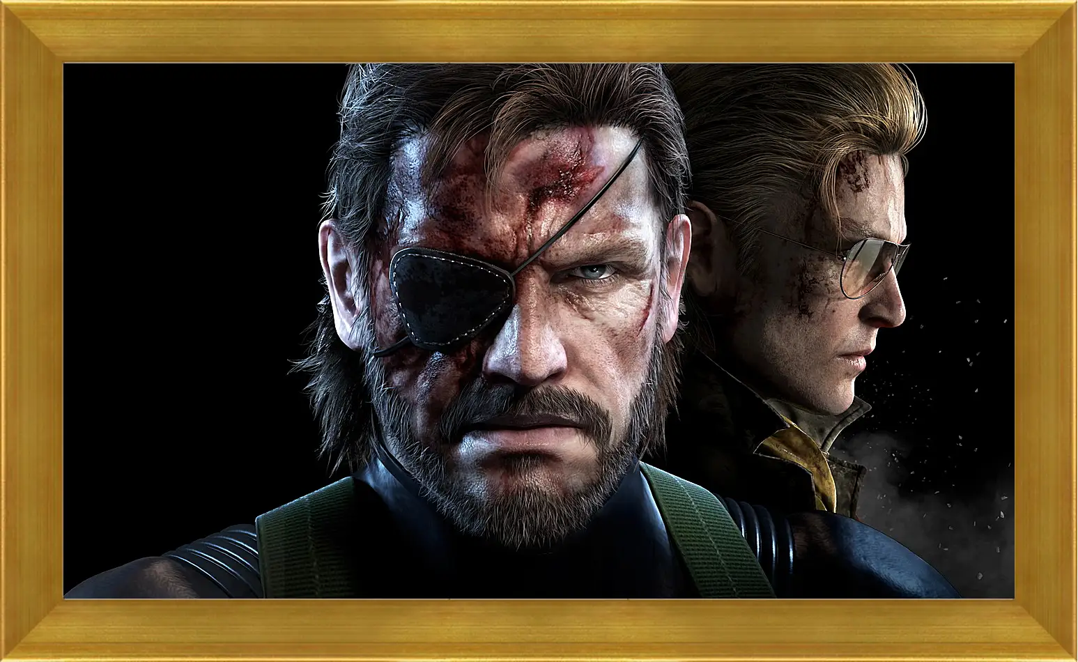 Картина в раме - Metal Gear Solid V: The Phantom Pain