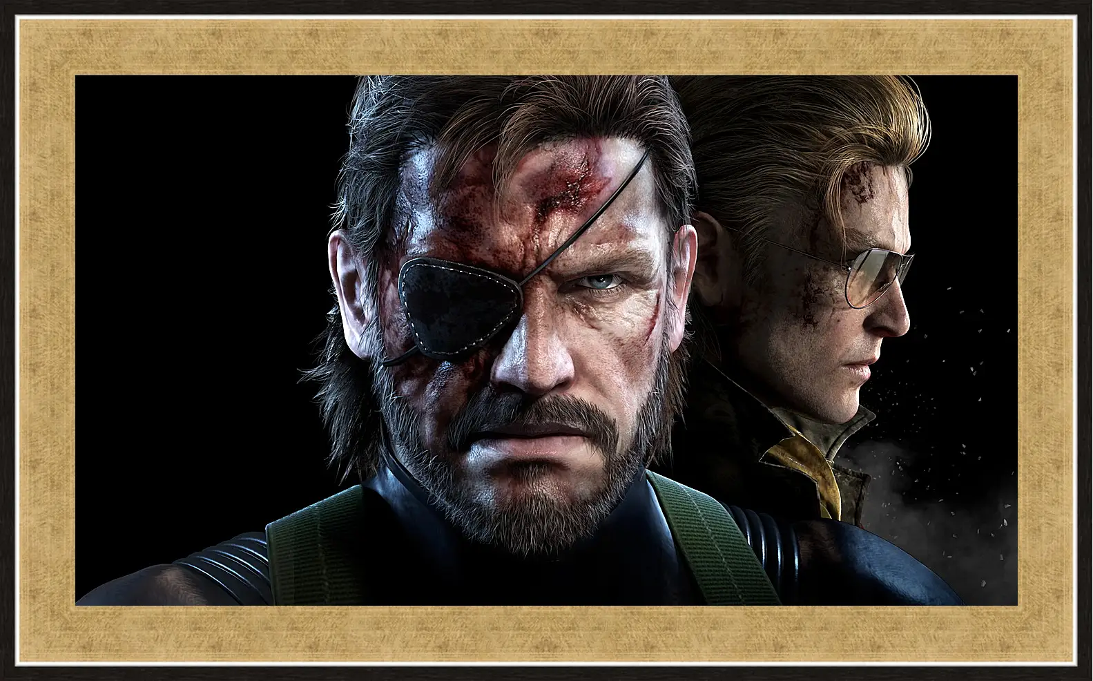 Картина в раме - Metal Gear Solid V: The Phantom Pain