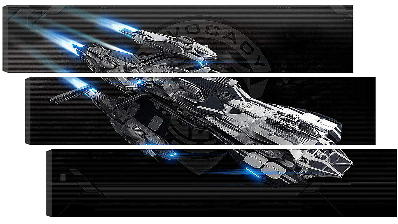Модульная картина - Star Citizen
