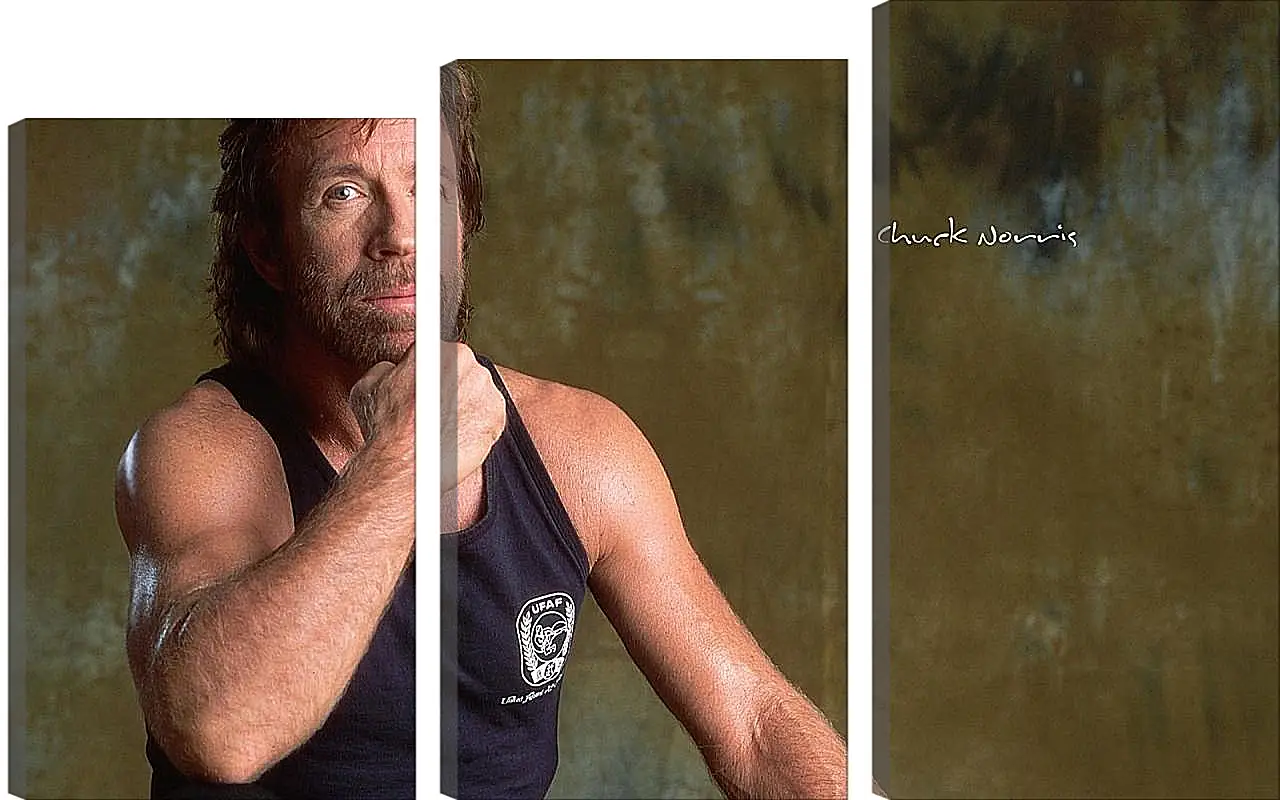 Модульная картина - Чак Норрис. Chuck Norris