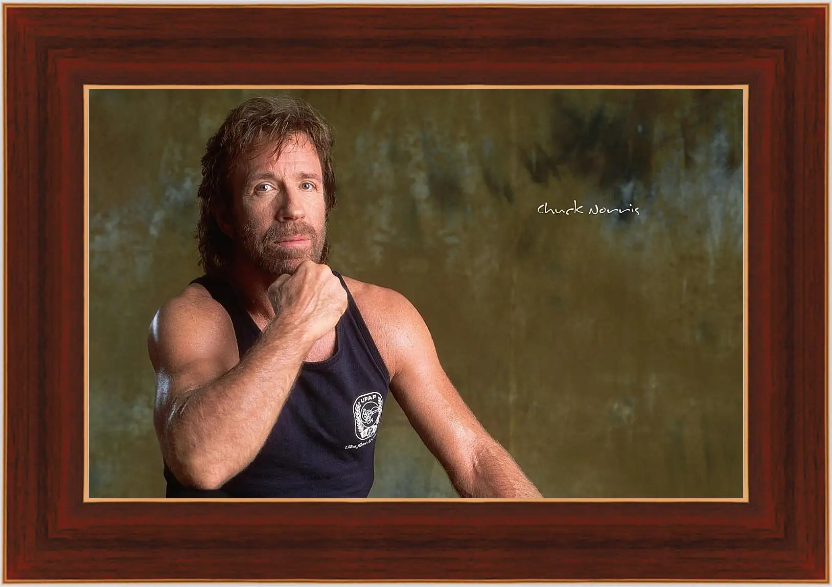 Картина в раме - Чак Норрис. Chuck Norris