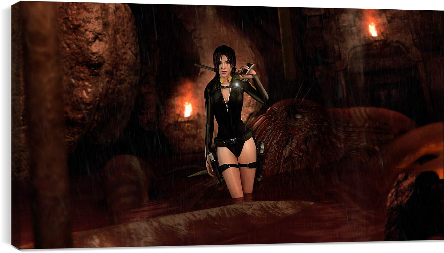 Постер и плакат - Tomb Raider: Underworld