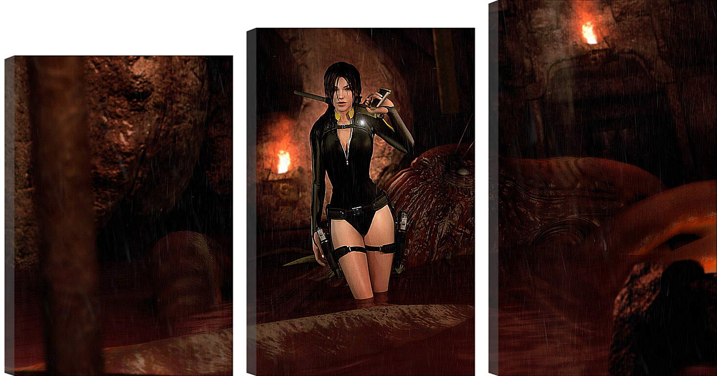 Модульная картина - Tomb Raider: Underworld