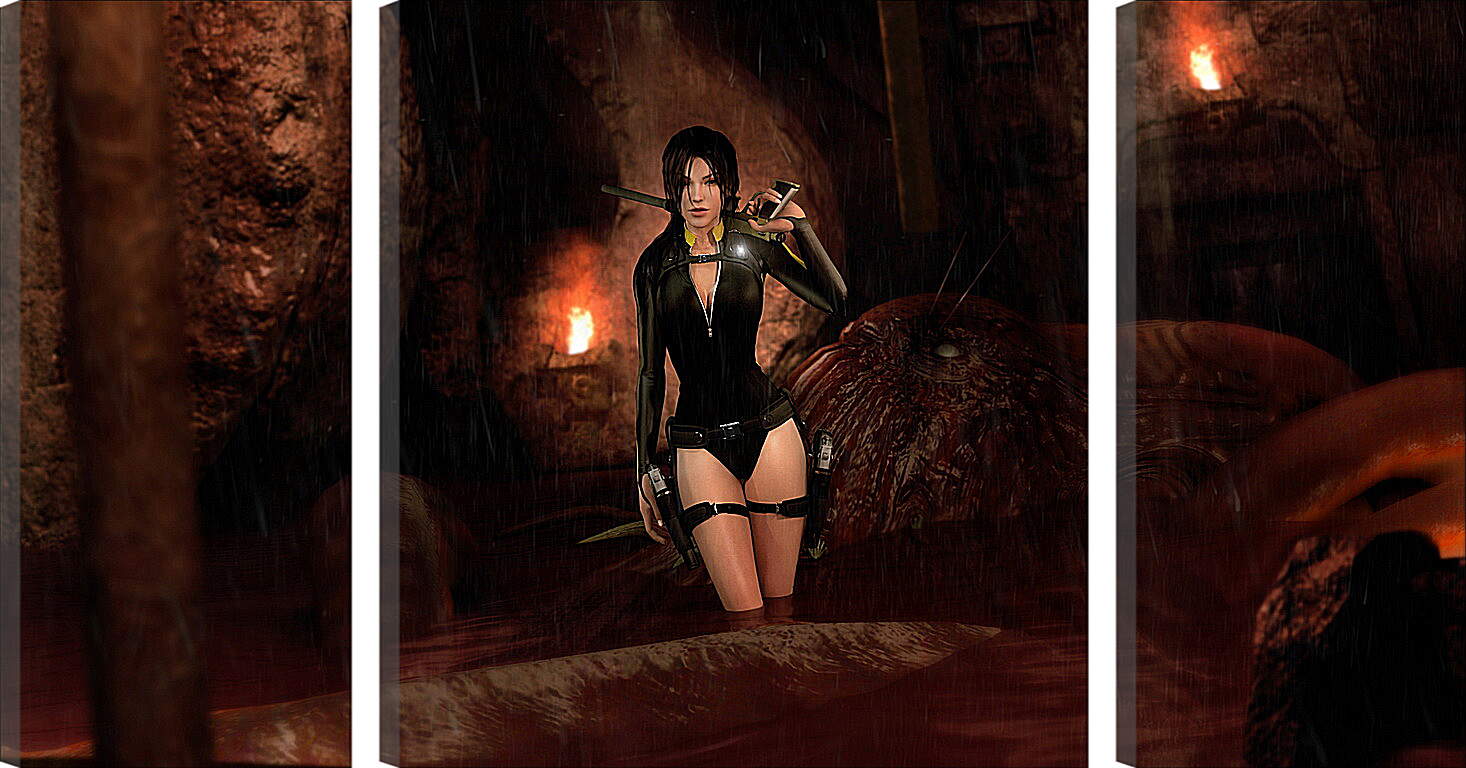 Модульная картина - Tomb Raider: Underworld