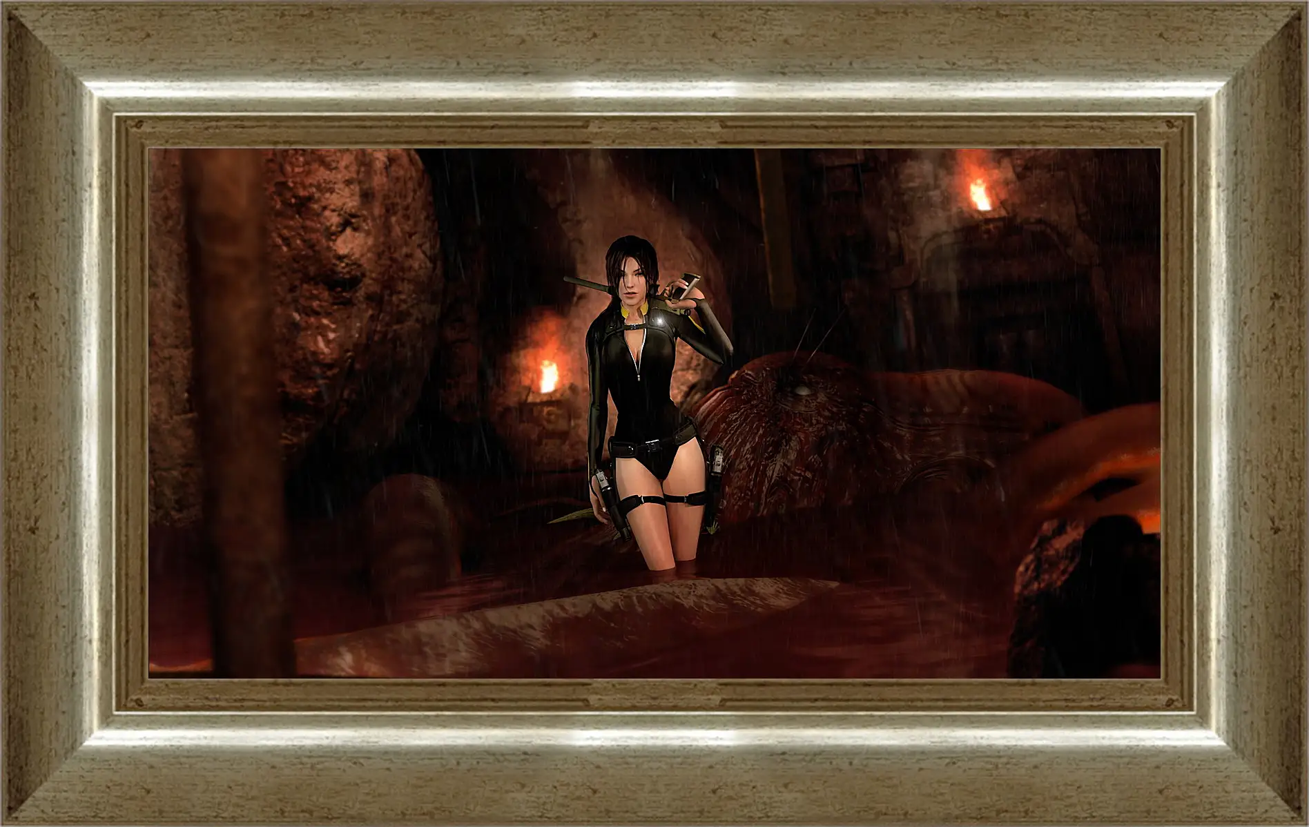 Картина в раме - Tomb Raider: Underworld