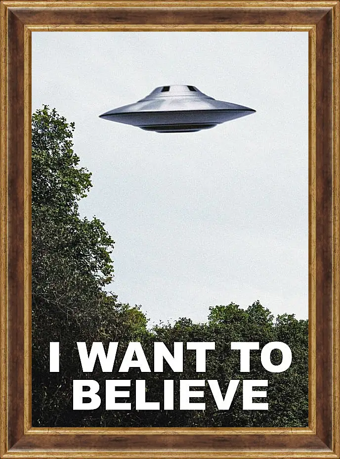 Картина в раме - I Want To Believe. Я хочу верить