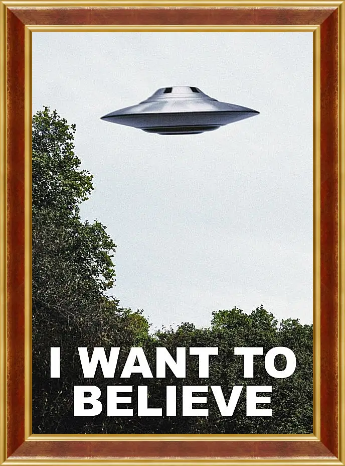 Картина в раме - I Want To Believe. Я хочу верить