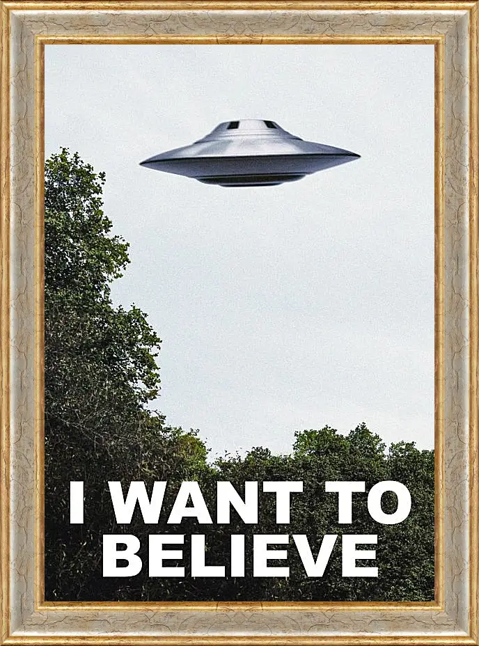 Картина в раме - I Want To Believe. Я хочу верить