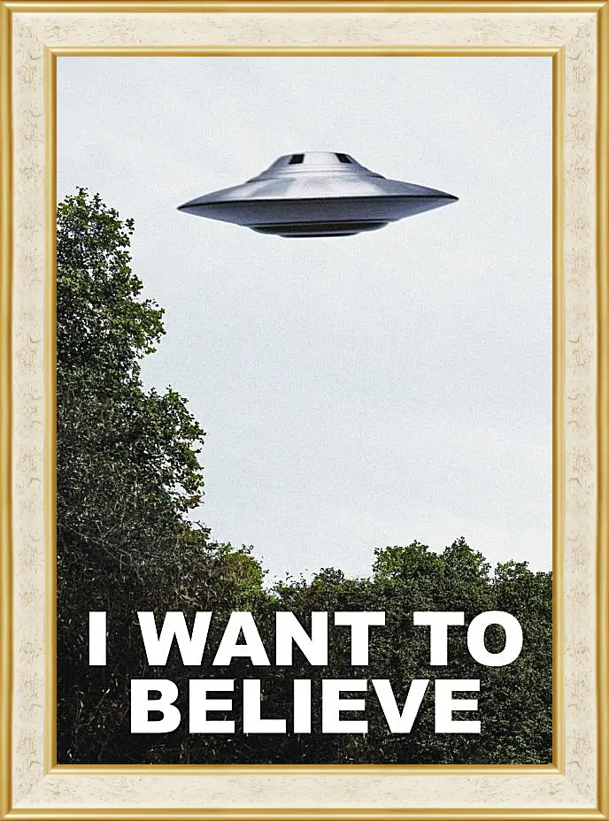 Картина в раме - I Want To Believe. Я хочу верить