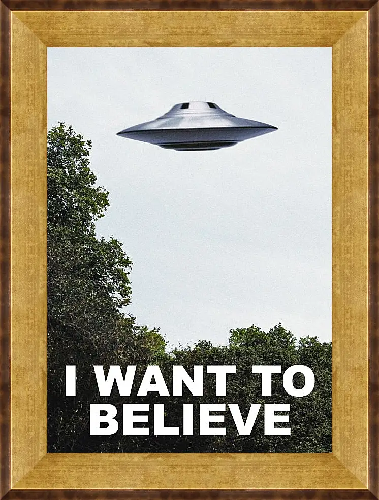 Картина в раме - I Want To Believe. Я хочу верить