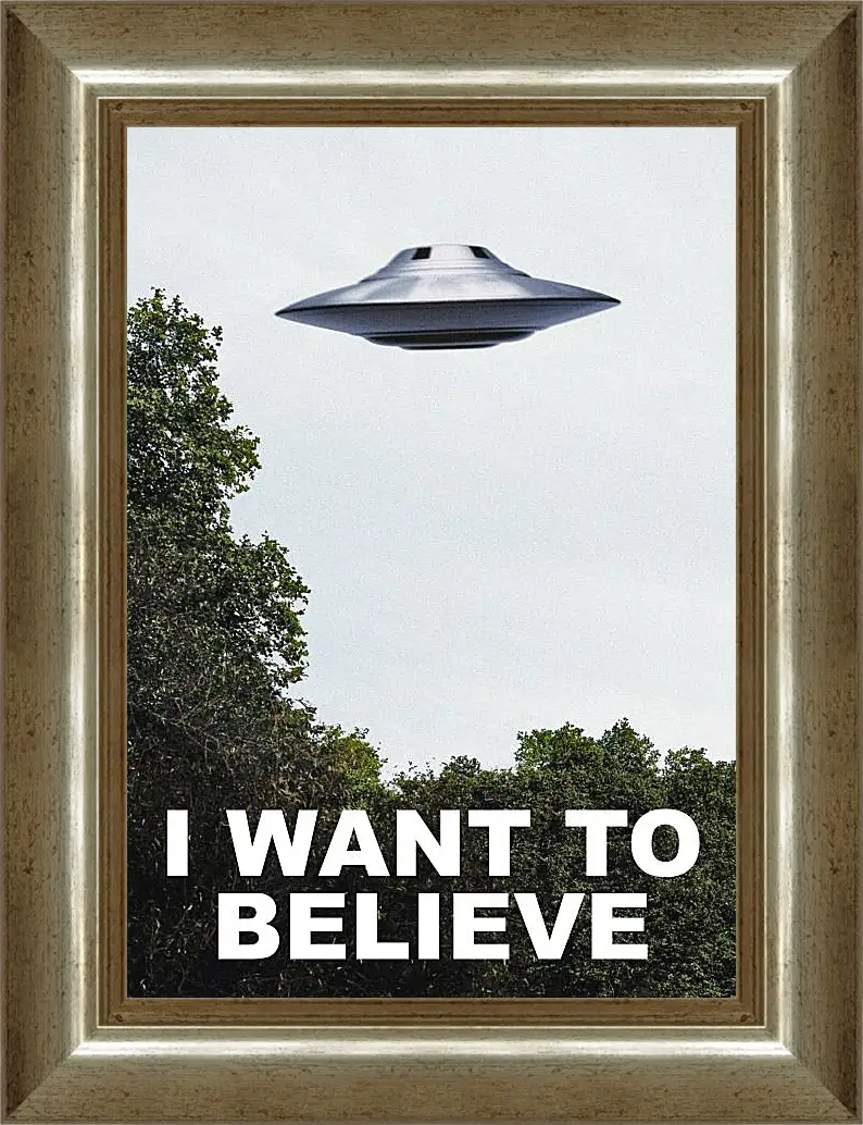 Картина в раме - I Want To Believe. Я хочу верить