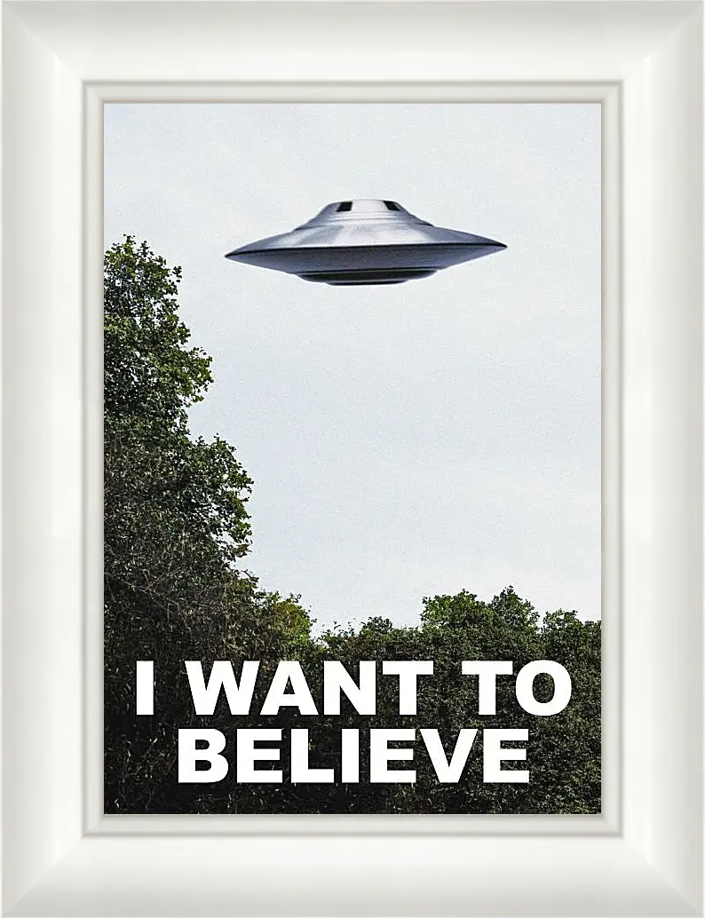 Картина в раме - I Want To Believe. Я хочу верить